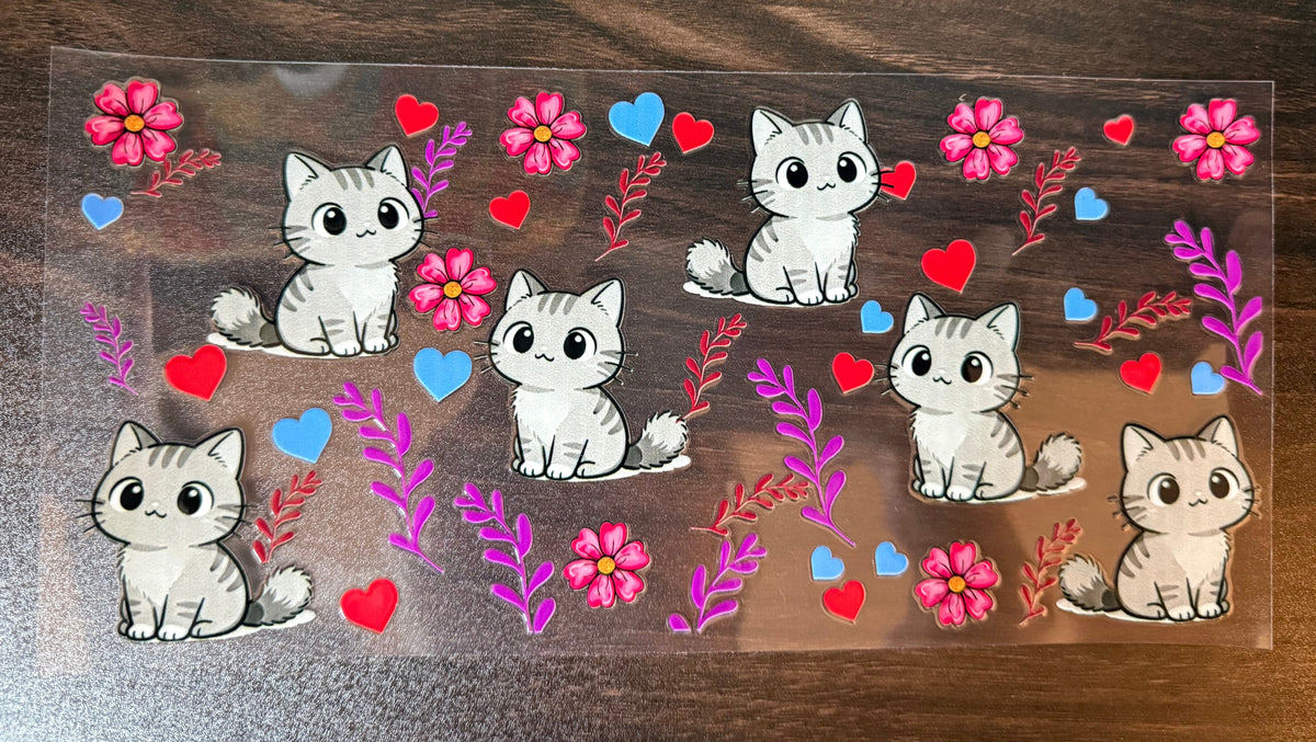 Gray kitty