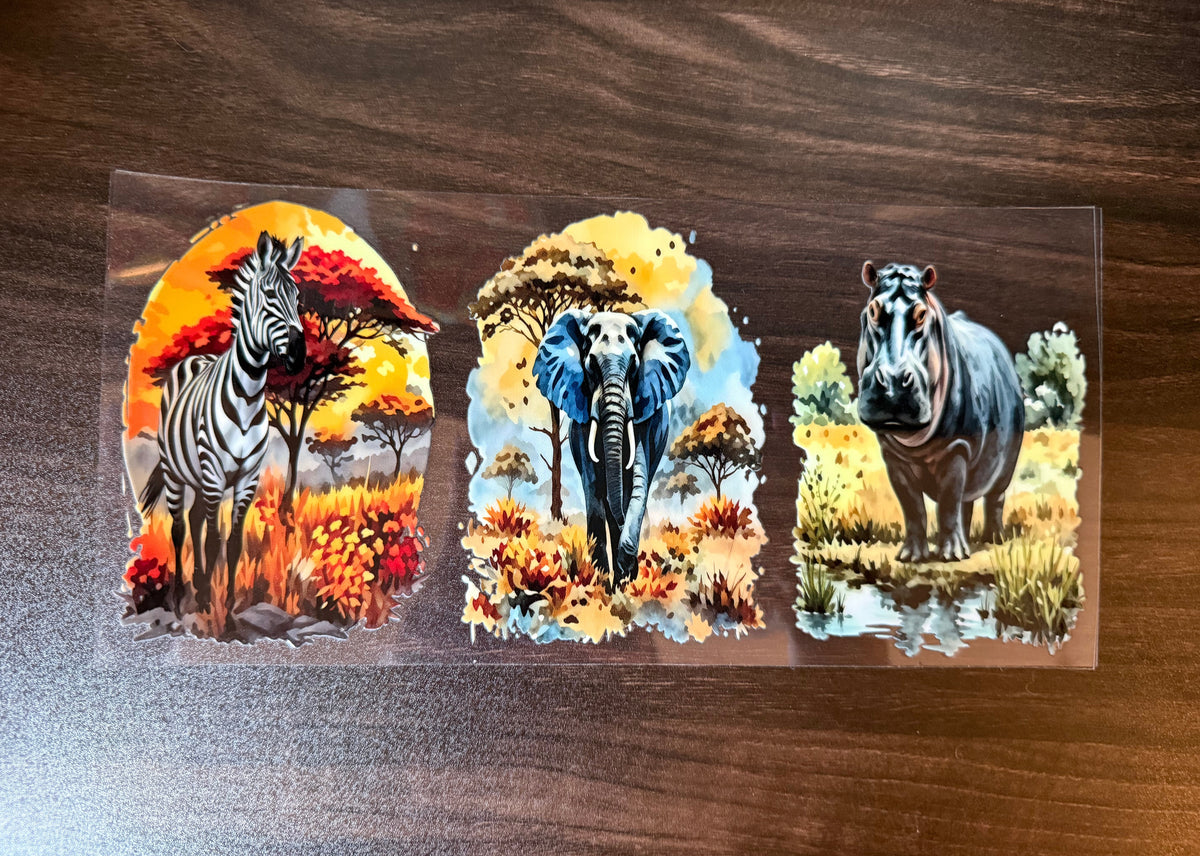 Safari