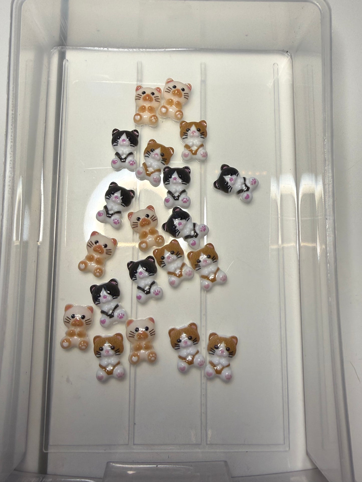 Kitten lid decor