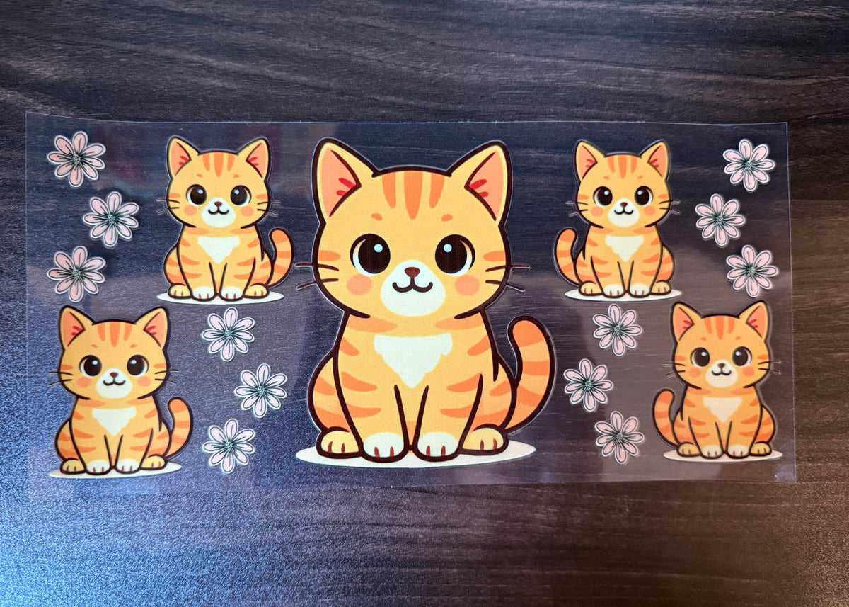 Orange cat