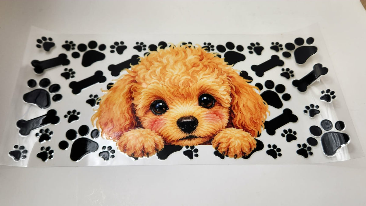 Puppy 2