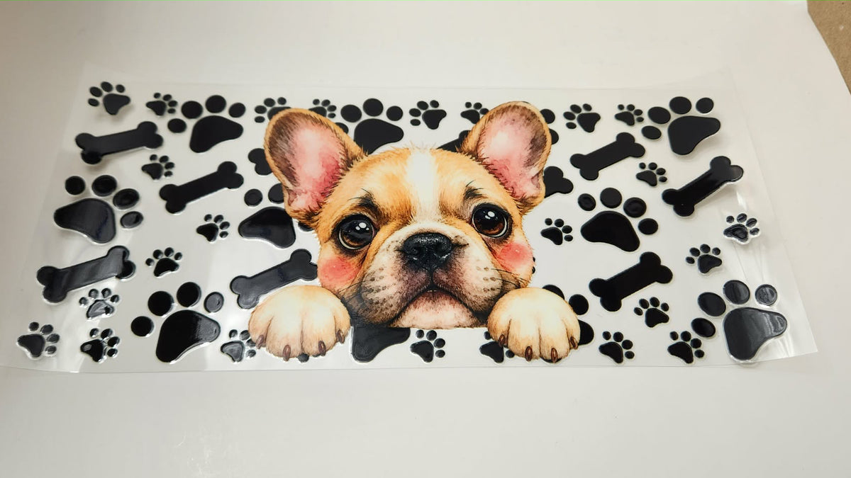Puppy 3