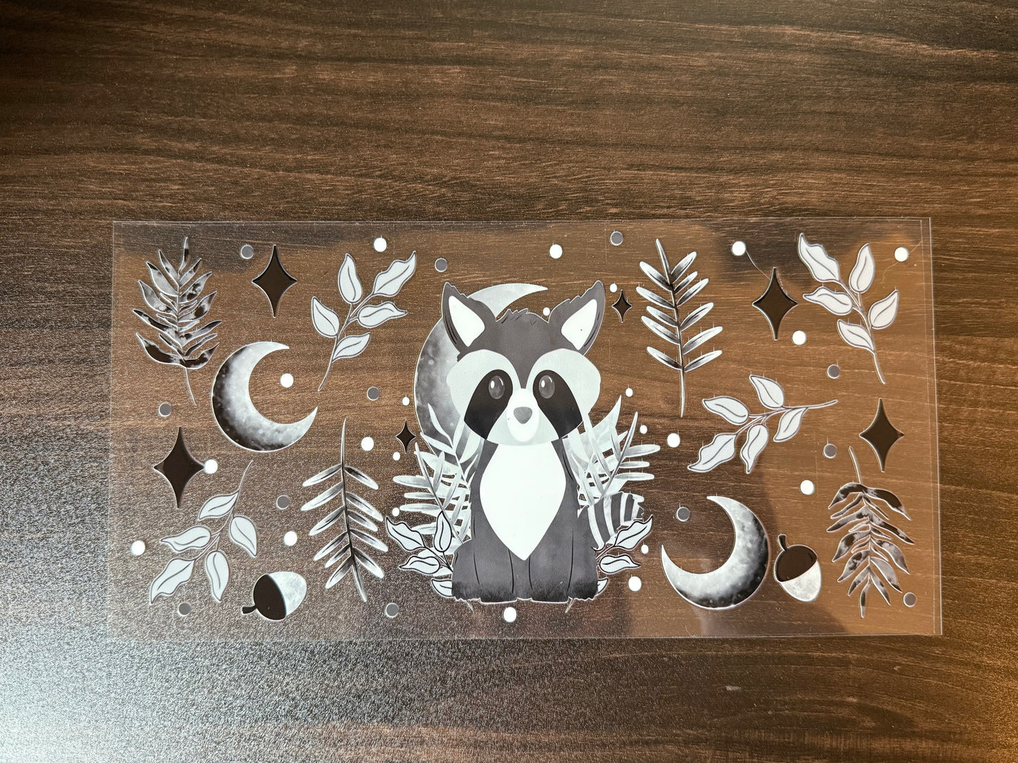 Raccoon