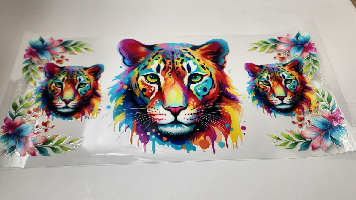 Tiger Rainbow
