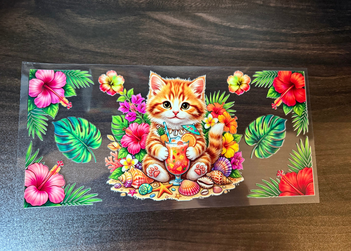 Orange cat